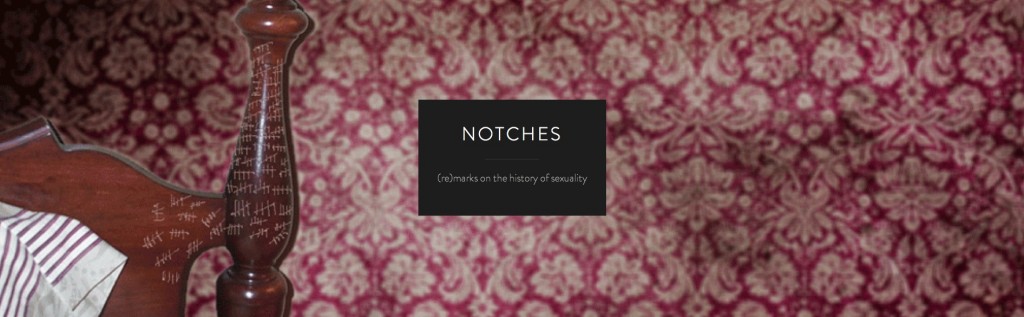 NOTCHES